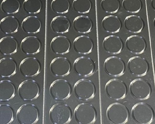Back-up Ring Mold